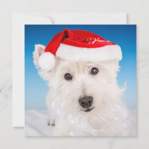 Cartão De Festividades Westie com Santa Chapéu e Barba