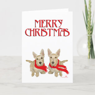 Cartão De Festividades Wheaten Scottish Terrier Natal