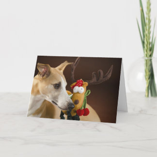 Cartão De Festividades Whippet no Natal