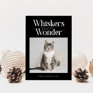 Cartão De Festividades Whiskers & Wonder Cat Photo Black Christmas