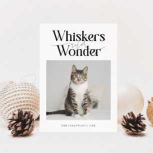 Cartão De Festividades Whiskers & Wonder Cat Photo White Christmas