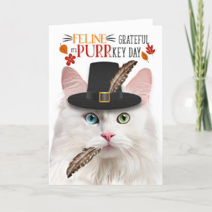 Cartão De Festividades White Angora Cat Feline Grateful para PURRkey Day