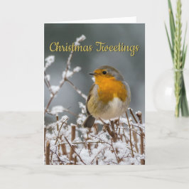 Cartão De Festividades White Christmas do pisco de peito vermelho do