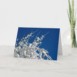 Cartão De Festividades White Christmas II