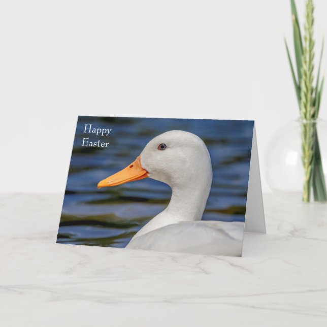 Cartão De Festividades White Mallard Duck (Frente)