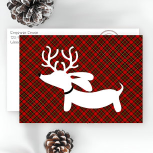 Cartão De Festividades White Reindeer Dachshund on Plaid