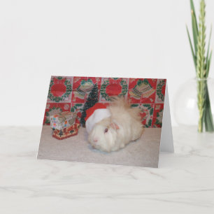Cartão De Festividades White Santa Pig