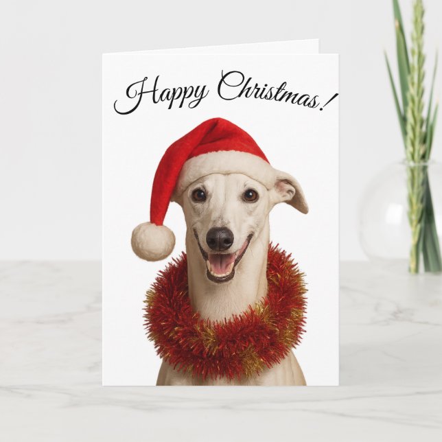 Cartão De Festividades White whippet in Santa hat Christmas Holiday card (Frente)