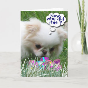 Cartão De Festividades Who Did This ?