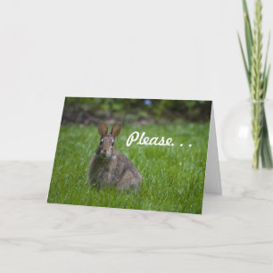 Cartão De Festividades Wild Bunny Namorados