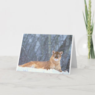 CARTÃO DE FESTIVIDADES WILD CAT FREEDOM DESTINY ZAZZLE