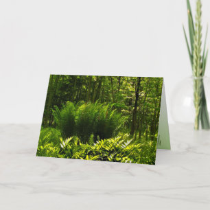 Cartão De Festividades Wild Fern Abstract Easter