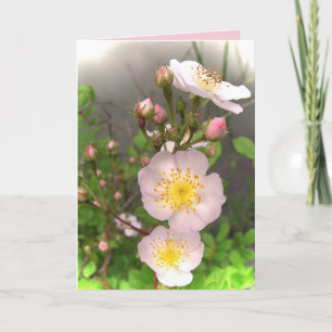 Cartão De Festividades Wild Roses Valentine