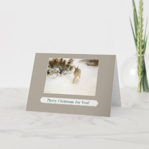 Cartão De Festividades winter bunny greeting card