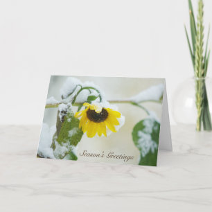 Cartão De Festividades Winter Christmas Sunflower Early Holiday Snow