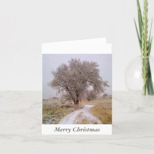 Cartão De Festividades Winter in Colorado Christmas Card