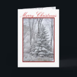 Cartão De Festividades WINTER ROBES ~ Natural<br><div class="desc">Sentimentos dentro: PAZ! Que a Paz seja seu presente no Natal e sua bênção o ano todo! Personalize a saudação na frente e/ou no dentro,  se quiser. Os melhores votos para uma maravilhosa temporada de férias! Ruth ;D</div>