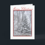 Cartão De Festividades WINTER ROBES ~ Natural<br><div class="desc">Sentimentos dentro: PAZ! Que a Paz seja seu presente no Natal e sua bênção o ano todo! Personalize a saudação na frente e/ou no dentro,  se quiser. Os melhores votos para uma maravilhosa temporada de férias! Ruth ;D</div>