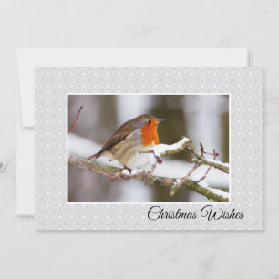 Cartão De Festividades Winter Robin Flat Christmas Card