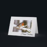 Cartão De Festividades Winter Robin Happy Christmas Card<br><div class="desc">Este cartão de Natal mostra uma fotografia de um doce pequeno assado vermelho assado num galho de neve no inverno. O texto da frente diz Feliz Natal,  como se diz em Inglaterra,  mas pode ser editado,  como se pode dizer na dentro.</div>