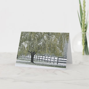 Cartão De Festividades Winter Willow