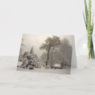 Cartão De Festividades Winter Wonderland Cards Seasons Greetings Cards