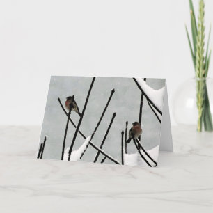 Cartão De Festividades Winter's Hush