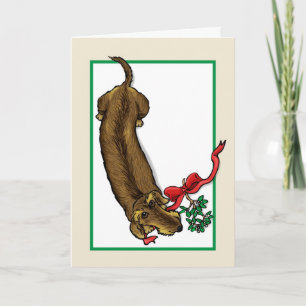 Cartão De Festividades Wirehair Dachshund Christmas Card