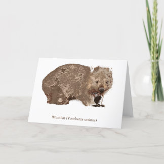 Cartão De Festividades Wombat (Vombatus ursinus)