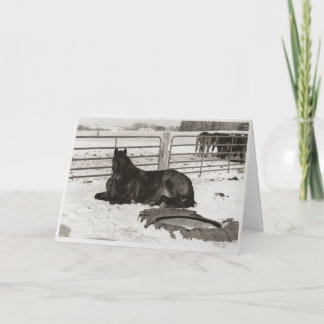 Cartão De Festividades Wonder de inverno