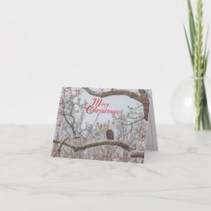 Cartão De Festividades Wonderland de inverno (com águia)