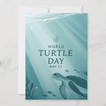 World Turtle Day Underwater Sea Turtle Art