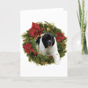 Cartão De Festividades Wreath de Natal Newf Landseer