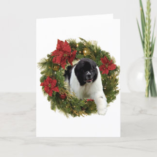 Cartão De Festividades Wreath de Natal Newf Landseer