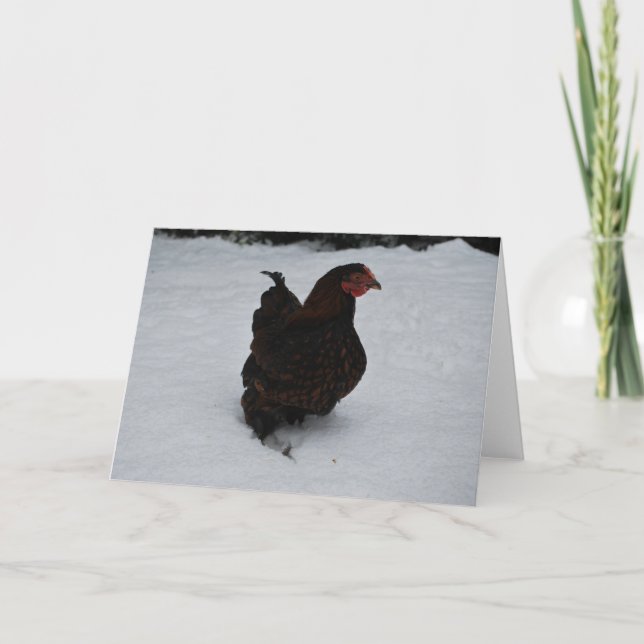 Cartão De Festividades Wyandotte atado ouro que trekking através da neve! (Frente)