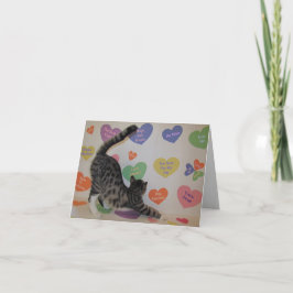 Cartão De Festividades Wyatt O Namorados de Corações de Conversa do Gato