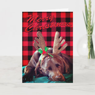 Cartão De Festividades Xadrez Buffalo Antler Vestindo Personalização de
