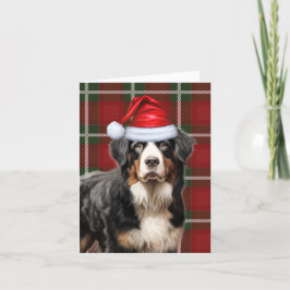 Cartão De Festividades Xadrez de Natal do Cão de Montanha Bernese