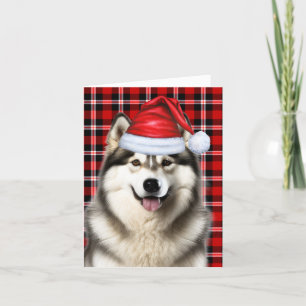 Cartão De Festividades Xadrez de Natal do Cão Malamute no Alasca