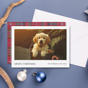Cartão De Festividades Xadrez Natal Elegante Foto da Família Cachorro Ele