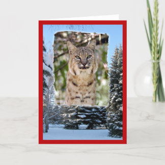 Cartão De Festividades xmas-bobcat-20