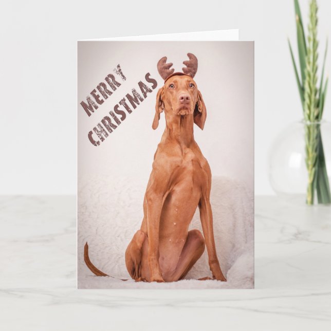 Cartão De Festividades Xmas Card/Christmas Card “Magyar Vizsla " (Frente)