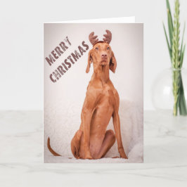 Cartão De Festividades Xmas Card/Christmas Card “Magyar Vizsla "