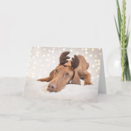 Cartão De Festividades Xmas Card/Christmas Card “Magyar Vizsla "