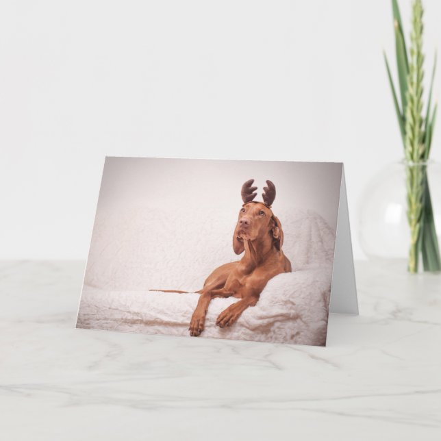 Cartão De Festividades Xmas Card/Christmas Card “Magyar Vizsla " (Frente)