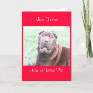 Cartão De Festividades xmas card_cr, natal de Feliz de Wallace