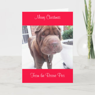 Cartão De Festividades xmas card_cr, natal de Feliz de Wallace