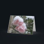 Cartão De Festividades Xmas coberto de neve cor-de-rosa dos rosas<br><div class="desc">Estes rosas cor-de-rosa ainda estavam florescendo em dezembro quando a neve caiu. O cartão de Natal é customizável e tem um painel de endereço para deixar amigos saber se esqueceram seu endereço.</div>