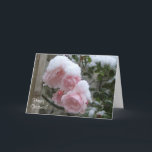 Cartão De Festividades Xmas coberto de neve cor-de-rosa dos rosas<br><div class="desc">Estes rosas cor-de-rosa ainda estavam florescendo em dezembro quando a neve caiu. O cartão de Natal é customizável e tem um painel de endereço para deixar amigos saber se esqueceram seu endereço.</div>