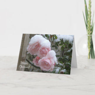Cartão De Festividades Xmas coberto de neve cor-de-rosa dos rosas